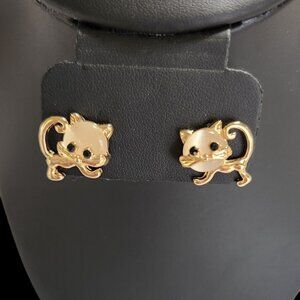 Fashion Earrings